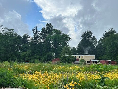 One -of-a kind mid-century Home estate set on 15 acres with gardens and a pool.