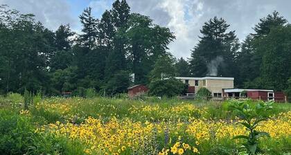 One -of-a kind mid-century Home estate set on 15 acres with gardens and a pool.