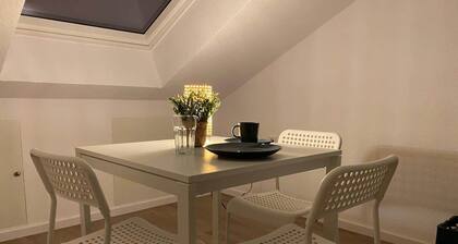 Worker and holiday apartment Mannheim