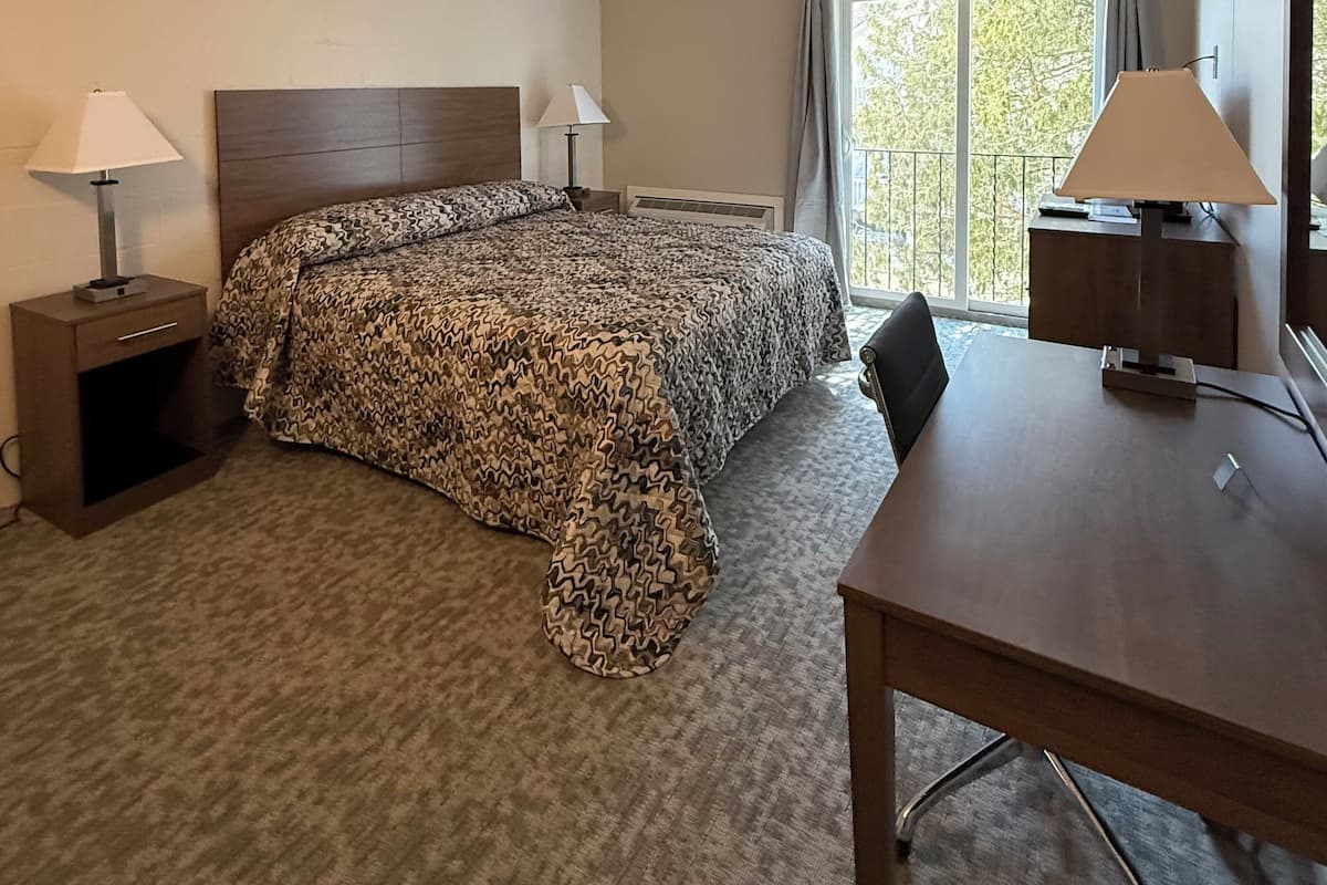 A hotel room with a bed, a desk, a chair, a nightstand, two lamps, and a window with a view of trees.