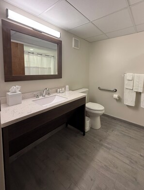 Standard Room, 2 Double Beds, Mobility Accessible | Bathroom