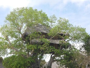 Deluxe-hytte - udsigt til bugt | Udendørsområde