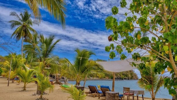 Une plage bordée de palmiers, avec des chaises longues et une table placée au bord de l’eau.