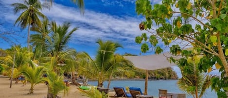 Superior Bungalow, Beach View | Property grounds