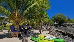 Une plage avec des chaises longues, un palmier et des kayaks.