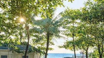 Luxury Studio Suite, Beach View | Property grounds
