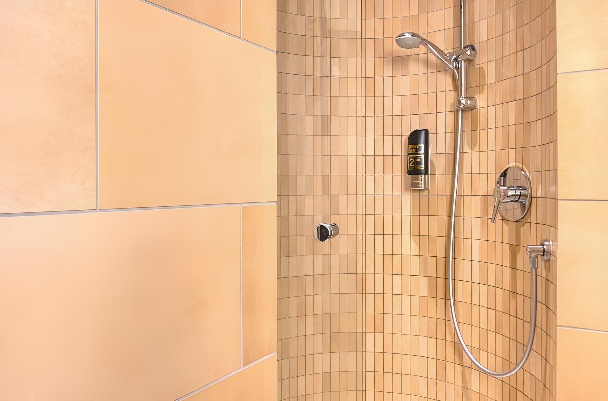 A shower with a handheld showerhead, a wall-mounted control panel, and a curved shower hose.