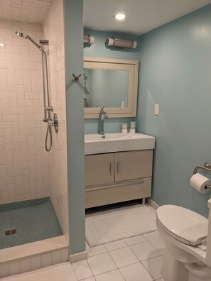 Bathroom - Spacious all-in-one with workspace and gym (Toronto)