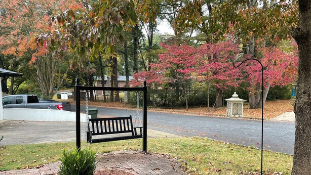 A park bench with a paved circular area, a tree, and a road with a parked vehicle. - FIFA FANS STAY HERE! Excellent location minutes from Atlanta Airport and STADIUM (atlanta)