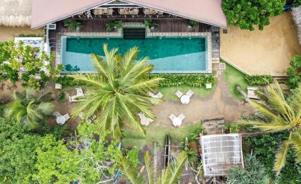 An aerial view of a resort with a swimming pool, lounge chairs, and palm trees.
