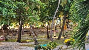A garden area with trees, a pathway, and a bench.
