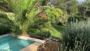 Una piscina circondata da lussureggiante vegetazione, tra cui palme e piante fiorite.