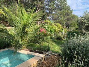 Property grounds - Villa hauteur de Lauris infinity pool not overlooked (Lauris)