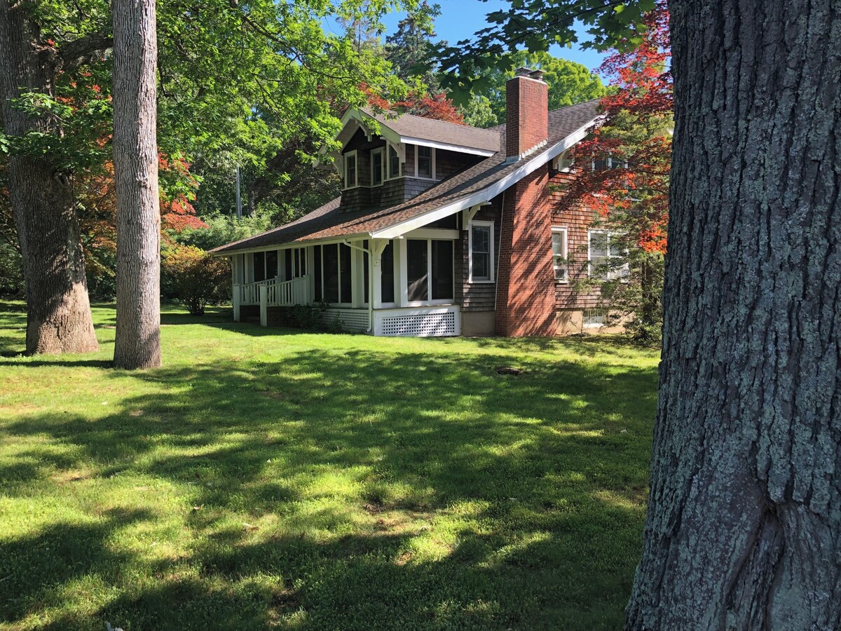 Imagen de perfil del propietario o de la propietaria