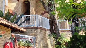 Un edificio de ladrillo con un balcón, rodeado de macetas con plantas y árboles.