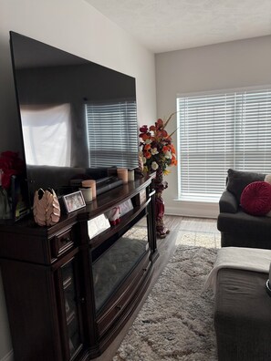 Living area - Masters Rental – 3BR Home, 35 Min to Augusta National, Sleeps 6+ (Aiken)