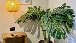 Huoneen nurkassa on puinen yöpöytä, ruukussa oleva Monstera-kasvi, seinälle asennettu ilmastointilaite ja riippuvalaisin.