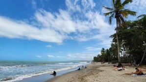 A beach with palm trees, people sunbathing, and the ocean. - Private Villa with Pool and Gardens (Palomino)