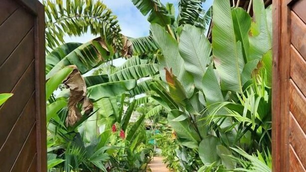 A narrow brick pathway flanked by lush tropical foliage and wooden gates. - Private Villa with Pool and Gardens (Palomino)