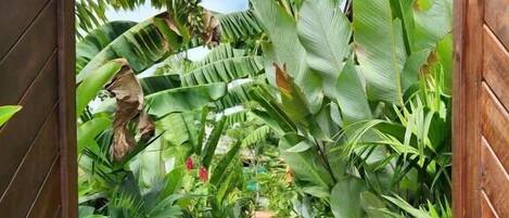 Superior Villa, Garden View | Property grounds