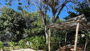 A pool area with a lounge chair and a pergola. - Private Villa with Pool and Gardens (Palomino)