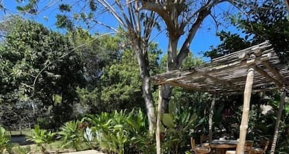 Beach Pool and Tropical Garden