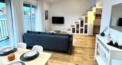 Appartement Camille Pujol Toulouse