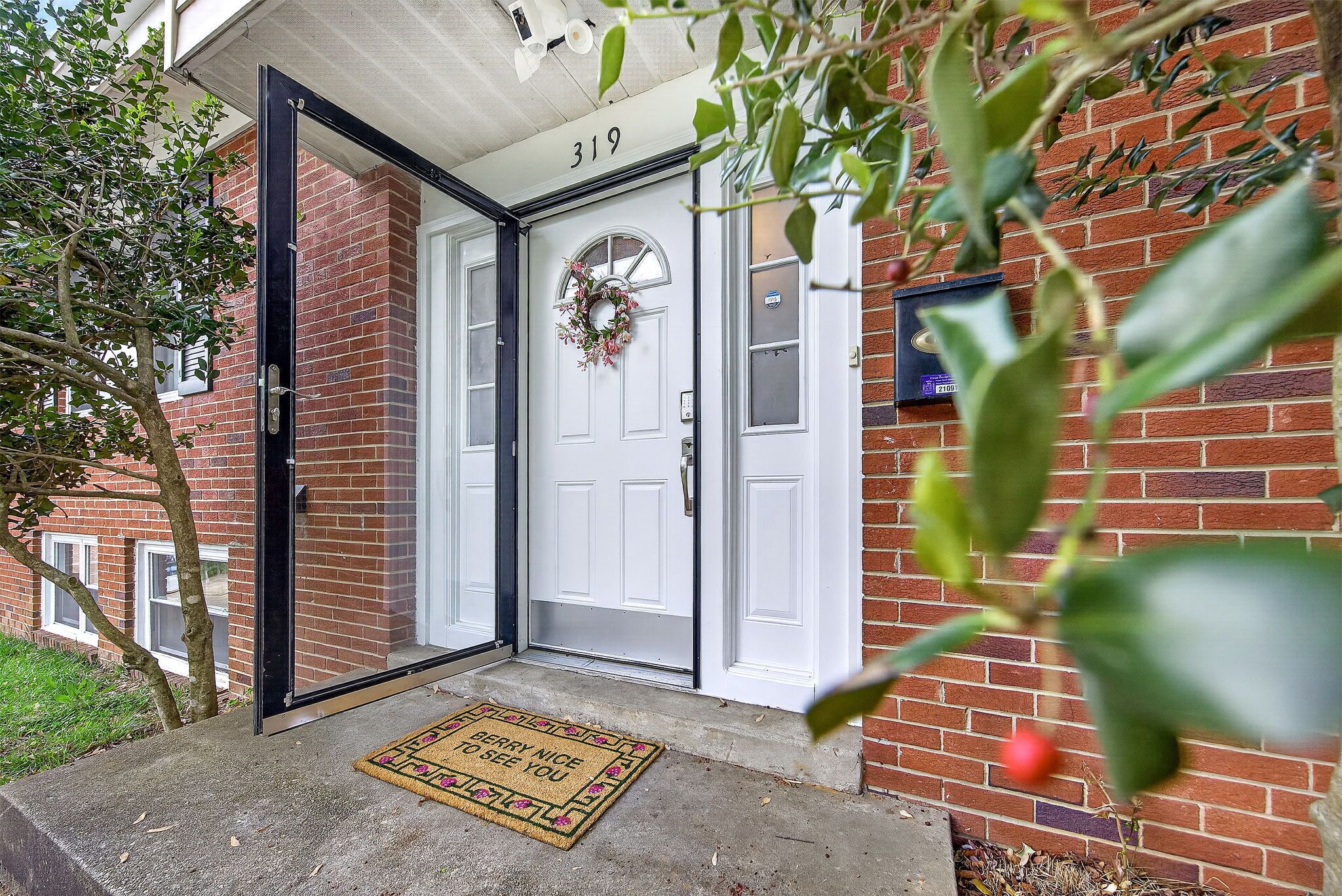 A residential entrance with a white door, a mailbox, and a number 319 above the door.