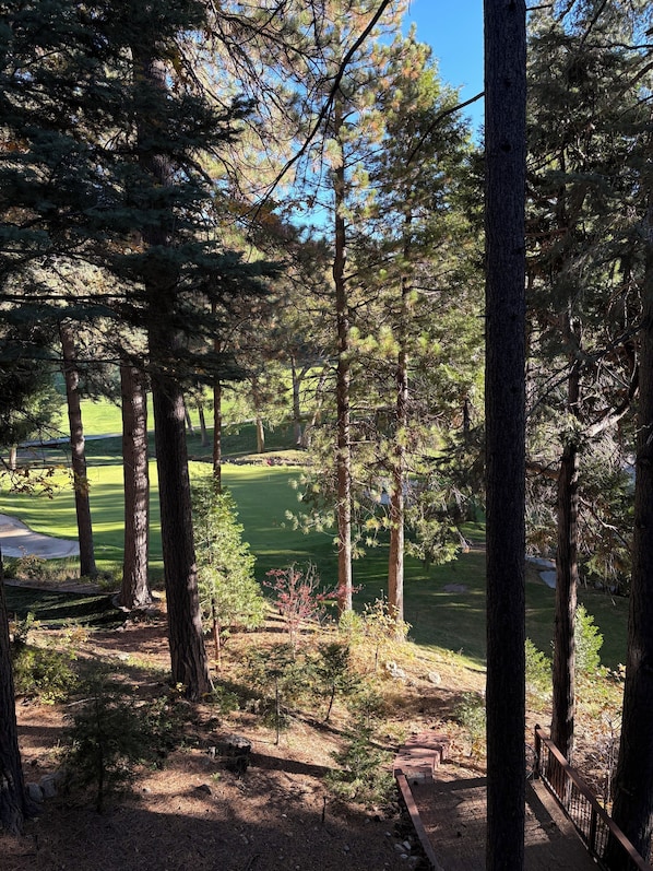 Ett skogsområde med en golfbana i bakgrunden.