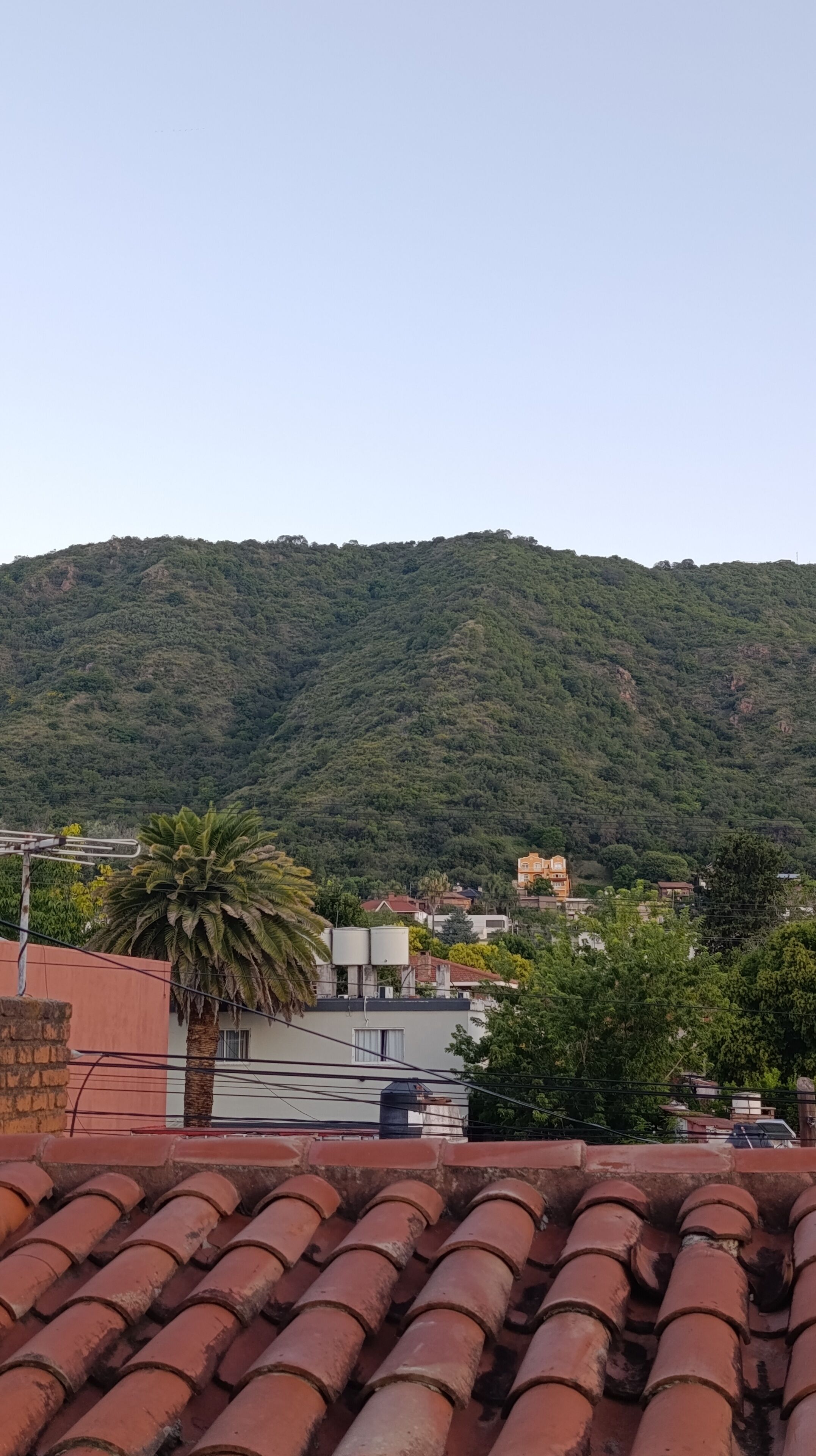 A residential area with terracotta roof tiles, a palm tree, and a hill with dense vegetation in the background.