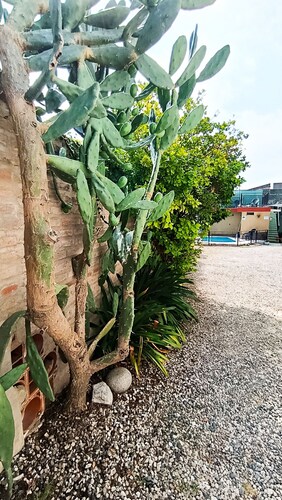 Altas Cumbres Hotel & Apart