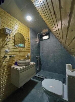 Hair dryer, towels, soap, toilet paper