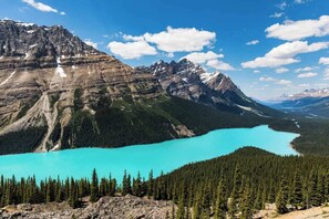 A mountain landscape with a turquoise lake, dense forest, and rugged peaks. - Skyline Peaks Mountain Retreat - Studio (Canmore)