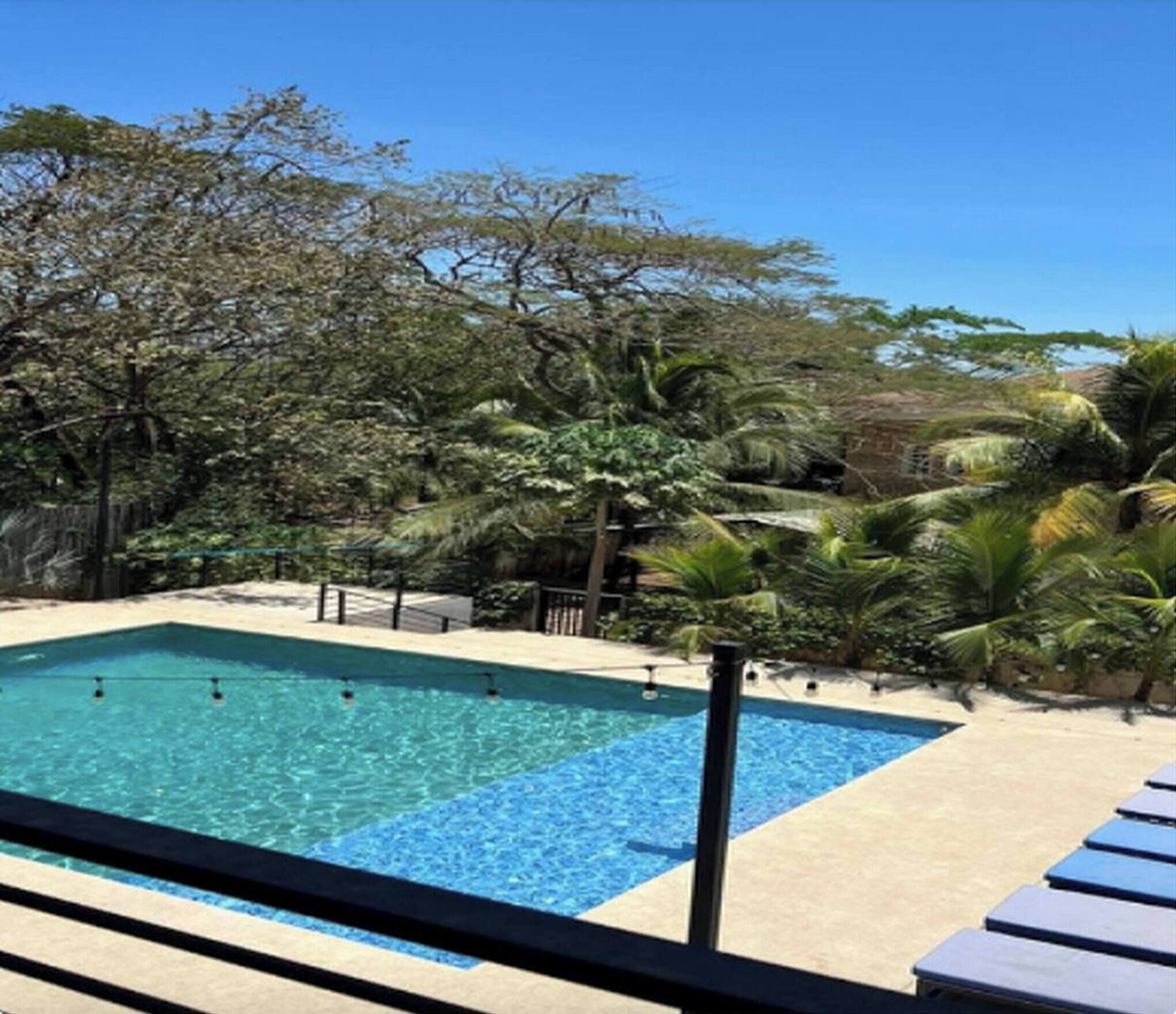A swimming pool with a clear blue water, surrounded by palm trees and other greenery.