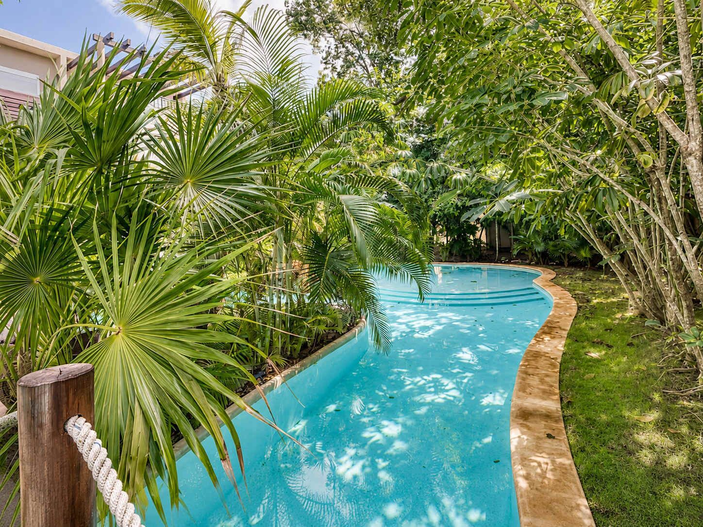 Una piscina curvada rodeada de exuberante vegetación tropical.