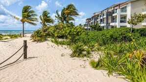 Ett hotell vid stranden med en sandstig, palmer och en fri utsikt över havet.