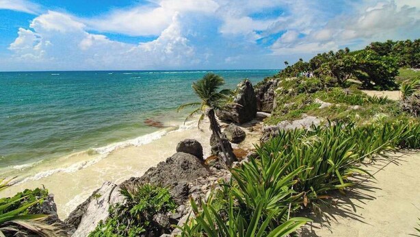 A beach with clear water, rocky outcrops, and lush greenery. - 1BR condo near Akumal beach, rooftop pool (Akumal)