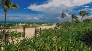 Ein Strand mit Palmen und blauem Himmel.