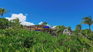 Ein Resort mit Poolanlage, Palmen und blauem Himmel.