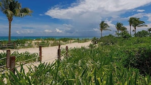 A beach with palm trees, a fence, and a clear sky. - Beachfront 3BR Condo, Resort Pool | Playa (Playa del Carmen)