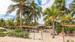 Un resort frente a la playa, con palmeras, tumbonas y sombrillas.