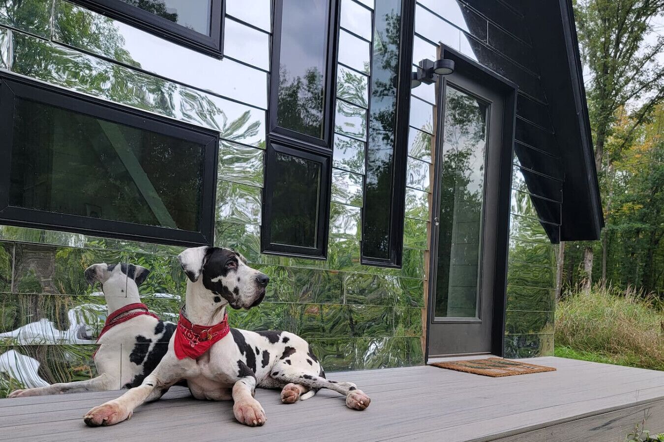 Enceinte de l’hébergement