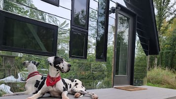 Enceinte de lâhĂ©bergement