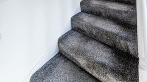 A staircase with carpeted steps and white walls. - Corporate - Business Travelers (Banff)