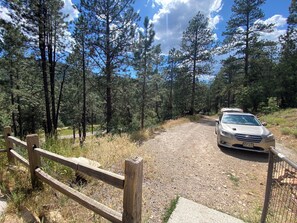 Property grounds - Mountain Cabin in the Woods near Durango, Colorado. (Durango)