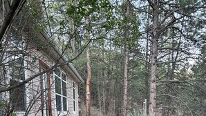 Un sentier en bois mène à un bâtiment doté d’une terrasse et d’un espace abrité.