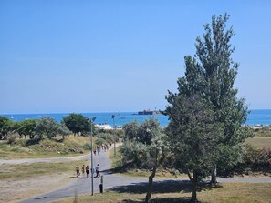 Ein Küstenpfad mit Spaziergängern, Bäumen und freiem Blick auf das Meer und Boote.