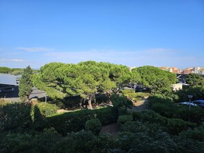 A tree-lined courtyard with a parking area and buildings in the background. - CAP D'AGDE - Plage du Môle / Réf 236 (CAP D'AGDE)