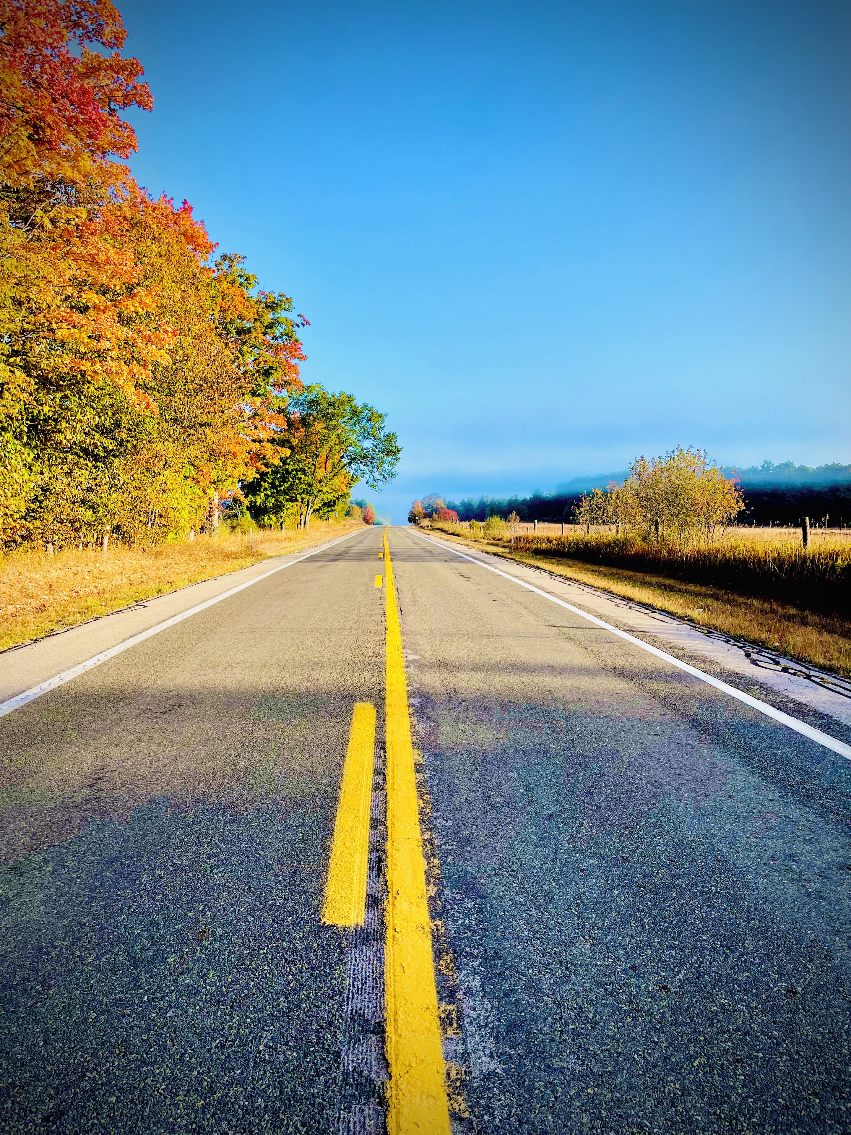 Une route droite, bordée d’arbres aux feuilles d’automne aux couleurs flamboyantes, avec une ligne médiane jaune, qui s’étend jusqu’à un horizon lointain.
