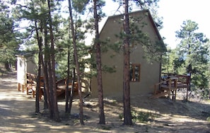 Eine rustikale Holzhütte mit Erdboden, umgeben von Kiefern, und einer Holzterrasse.